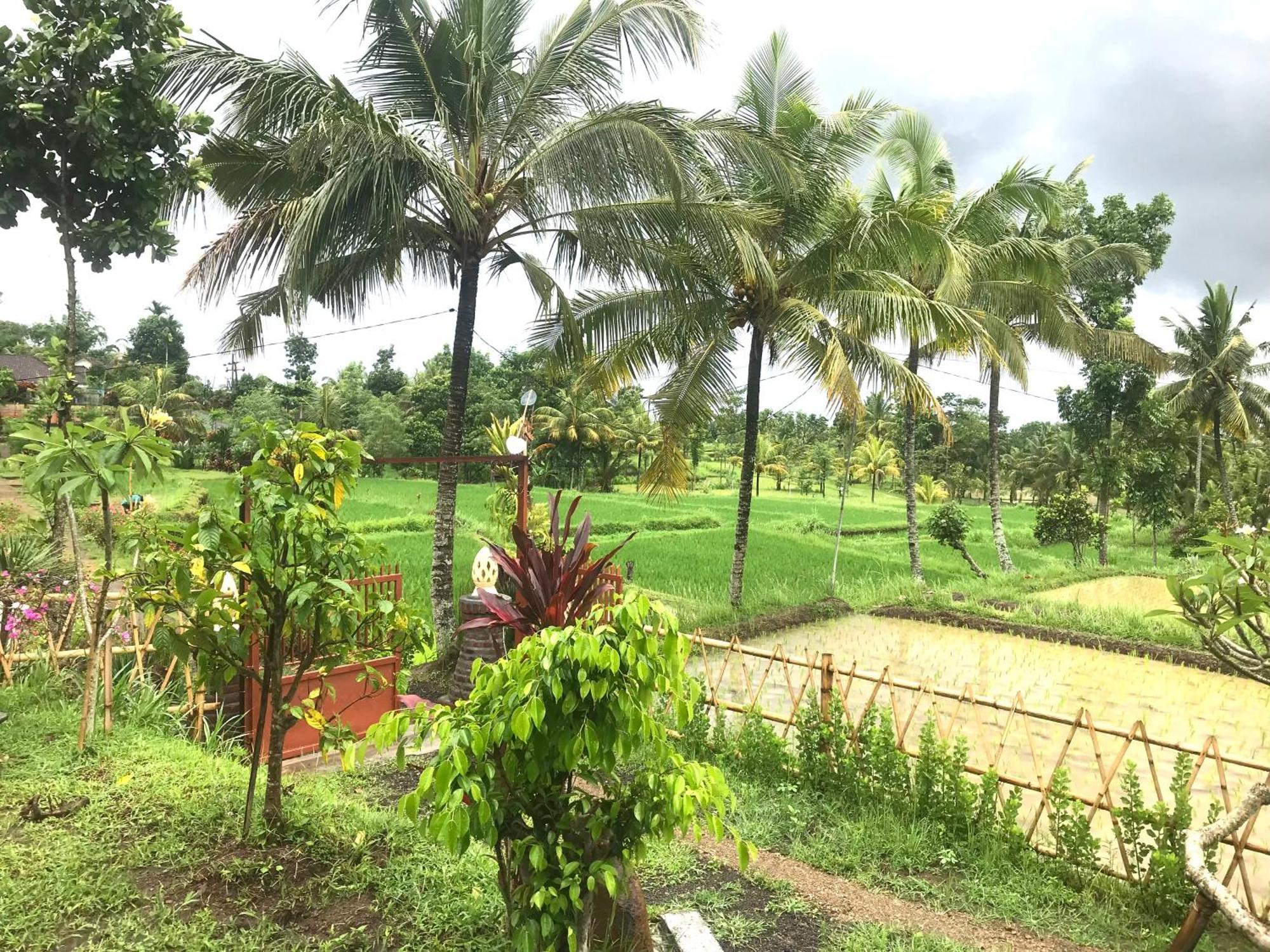 Bello Bungalow Batukliang Esterno foto