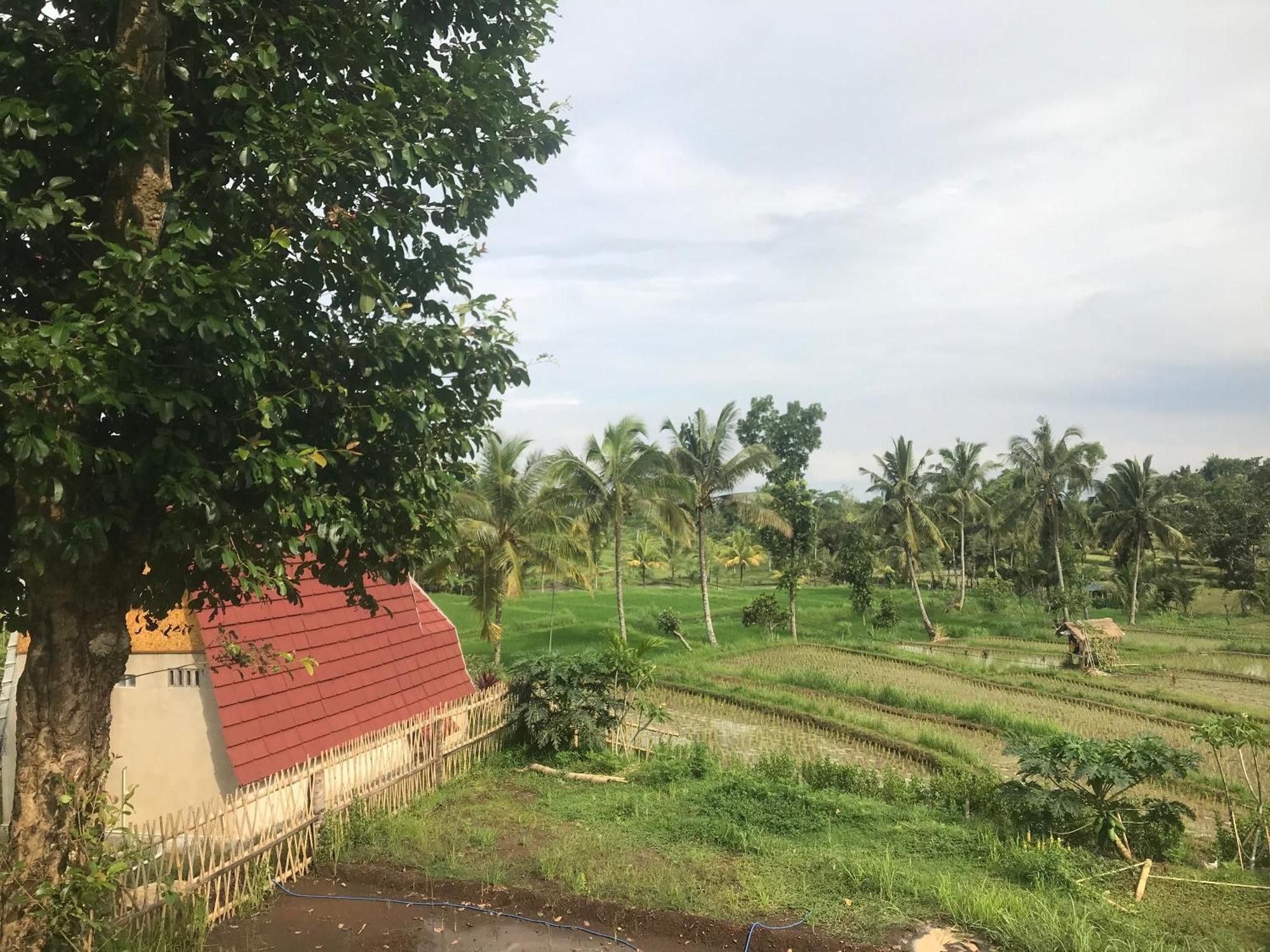Bello Bungalow Batukliang Esterno foto